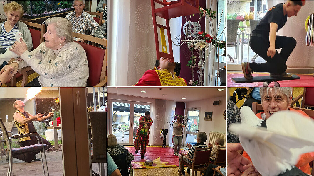 Collage Circus
