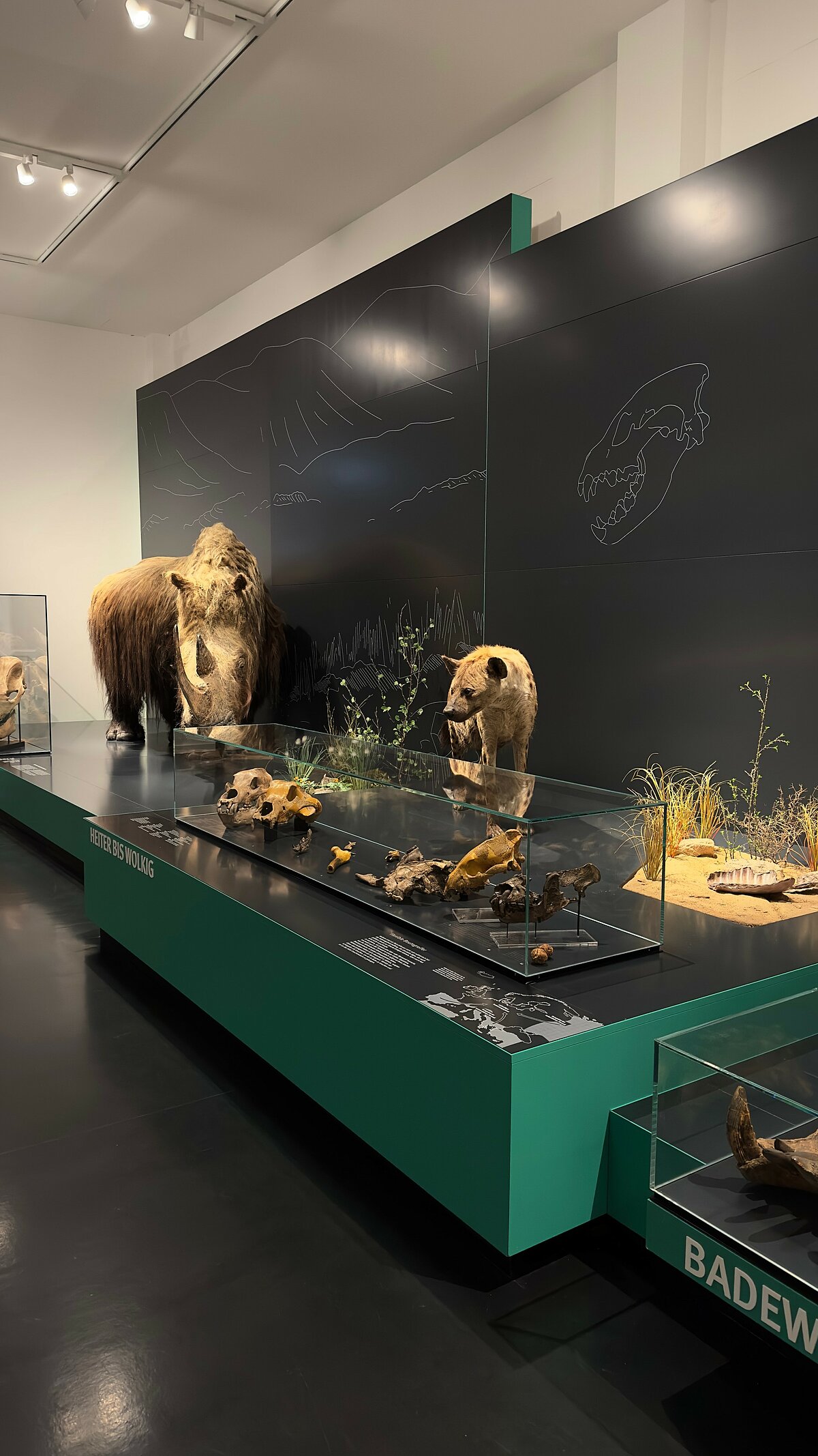 Museum Ausstellung Mainz