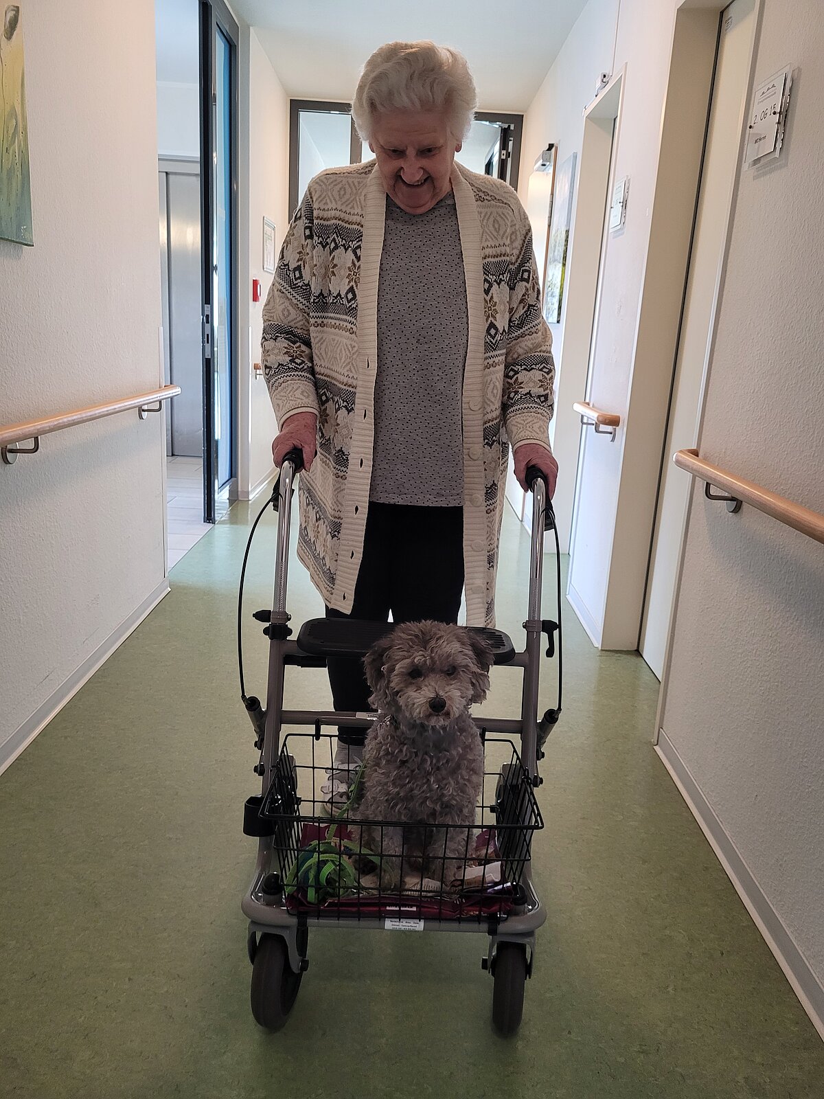 Hundebesuch_Warendorf