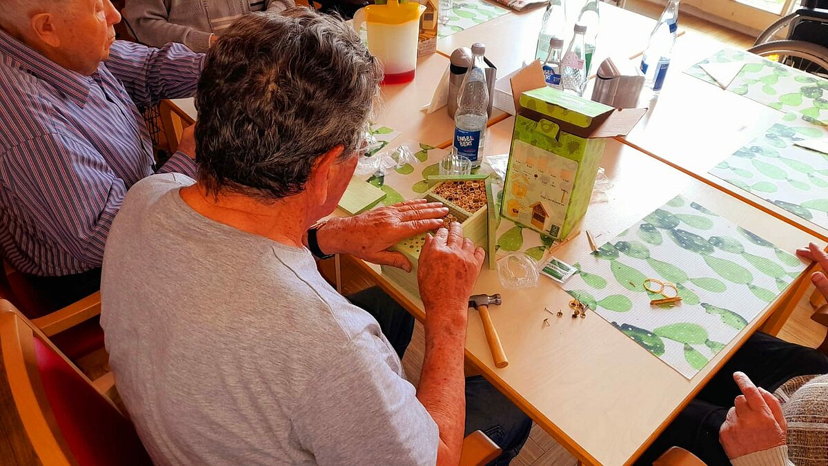 Abschluss der Insektenwoche