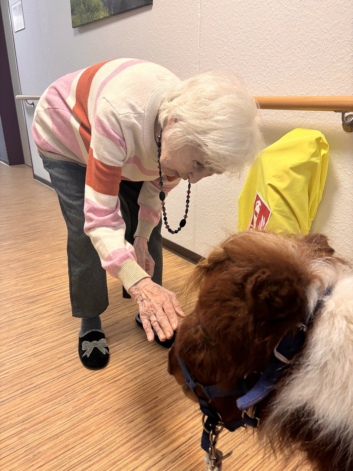 Besuch der Therapieponys