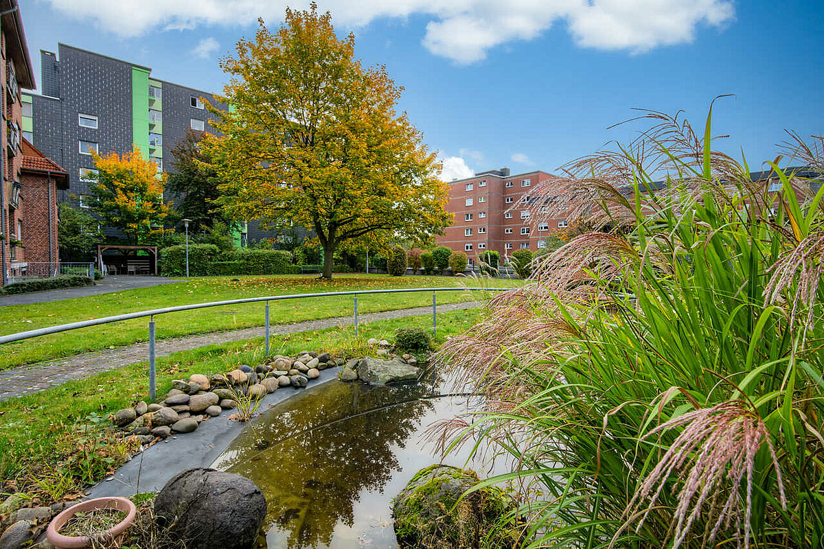 Garten mit Teich