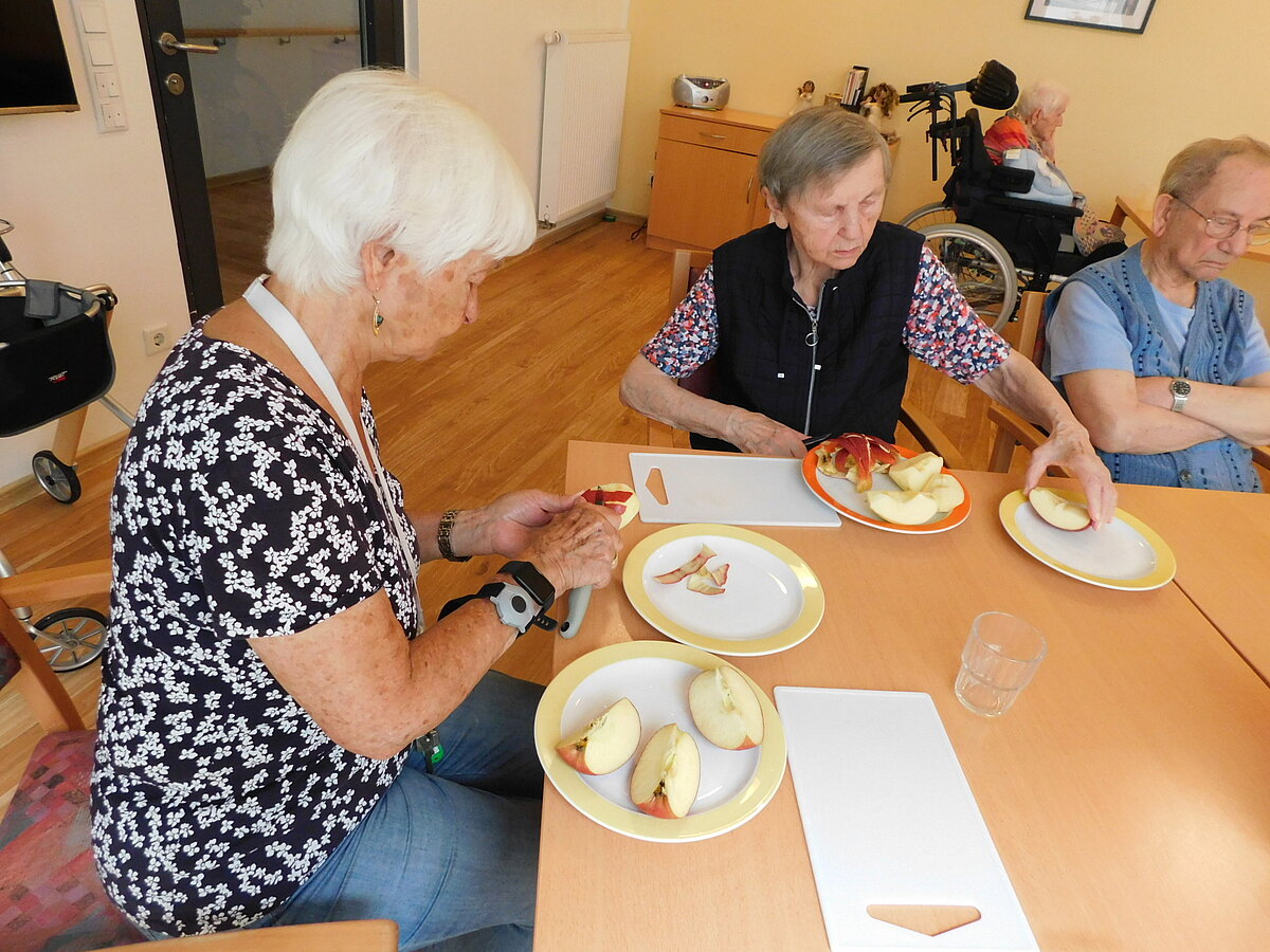 Apfelkuchen