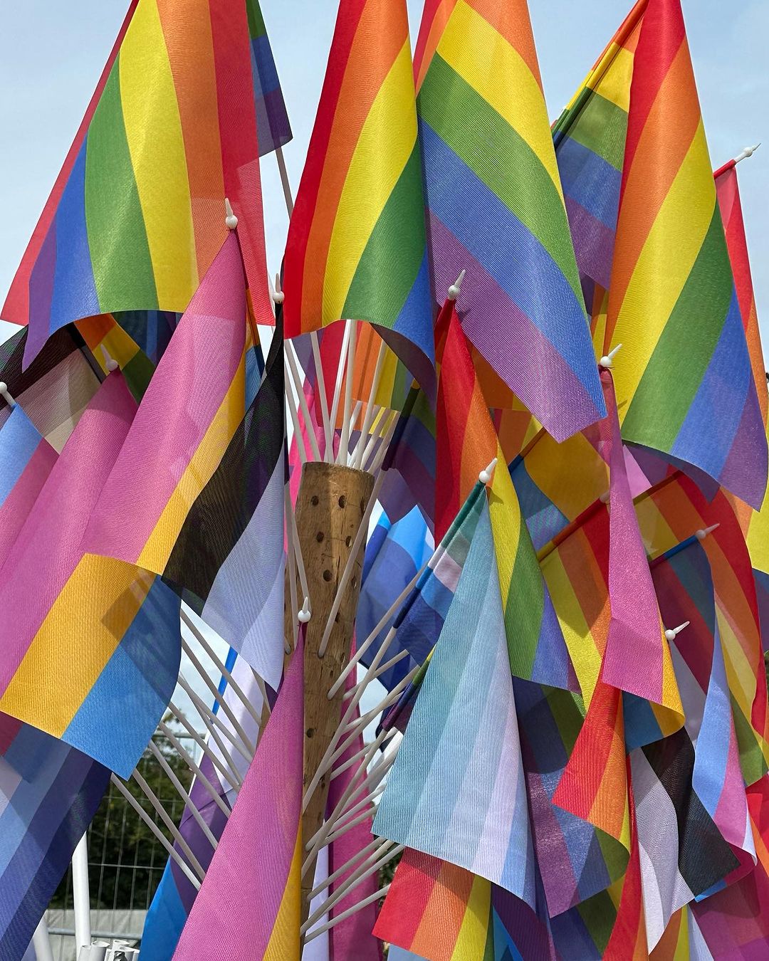 Pride Month bei Alloheim