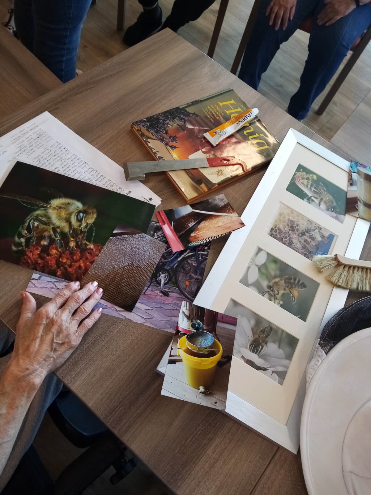 Bienentag im Pflegeheim in Lage