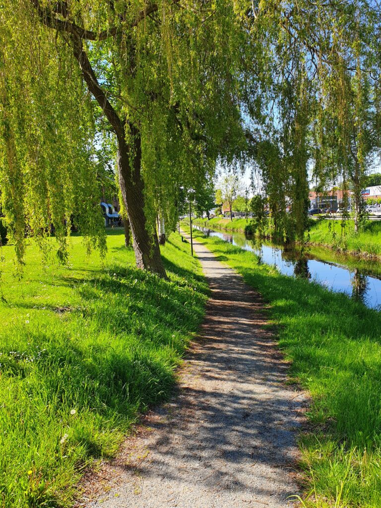 AZURIT Pflegezentrum Augustfehn Bild