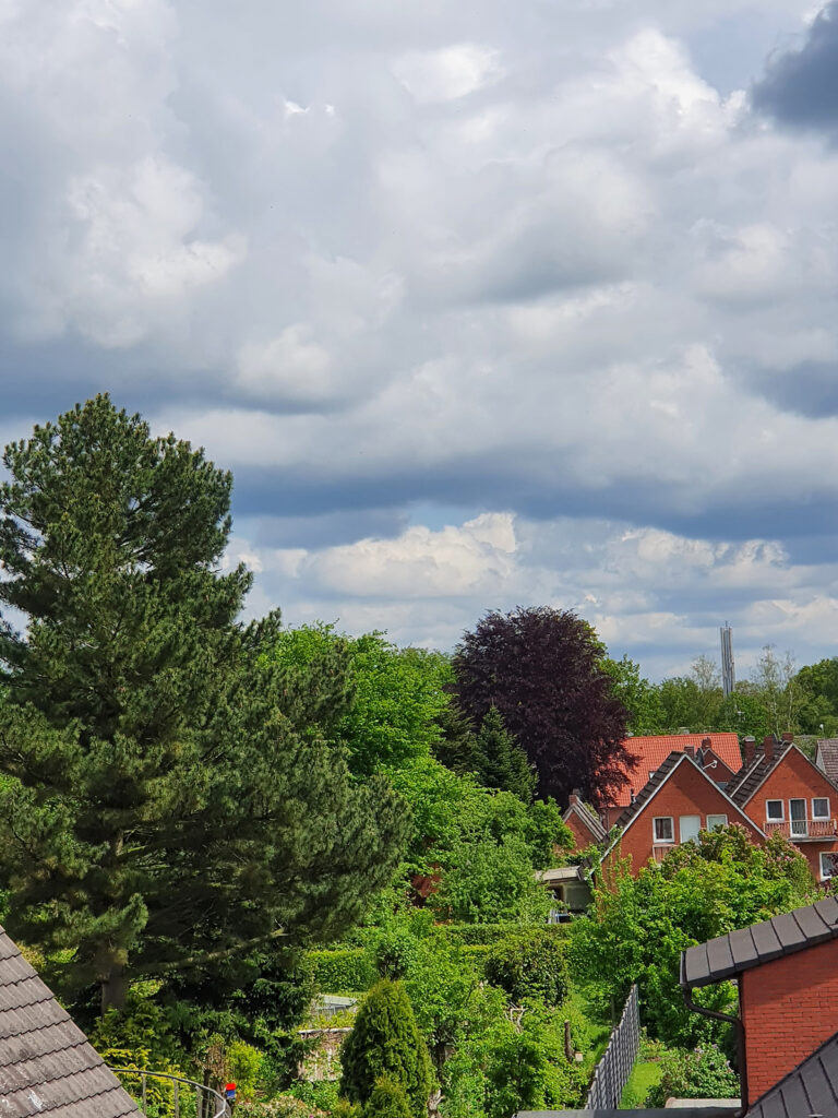 augustfehn-wohnen-mit-service-aussicht Bild